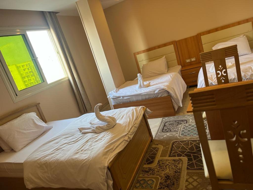 Grand Pyramids View Hotel 3*